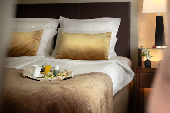 Elite Eden Park Hotel - photo 3